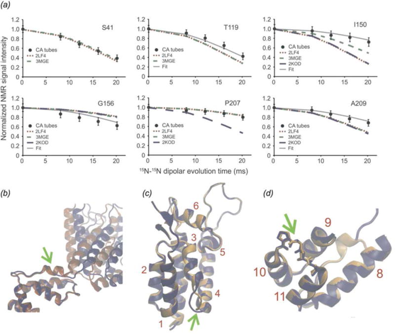 Fig. 19