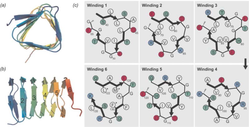 Fig. 16