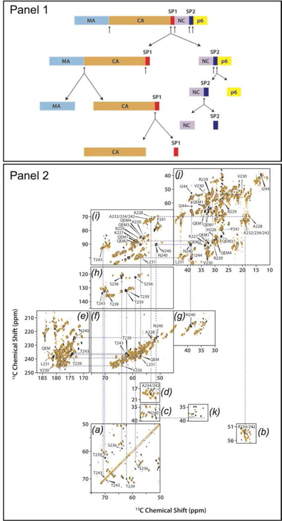 Fig. 22