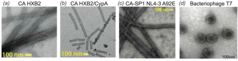 Fig. 17