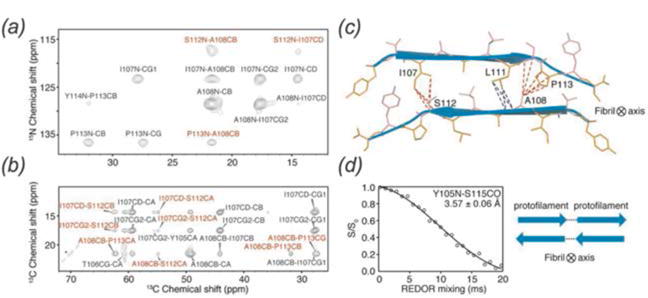 Fig. 10