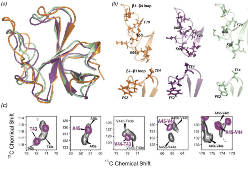 Fig. 12