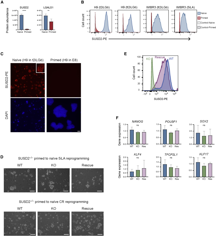 Figure 6