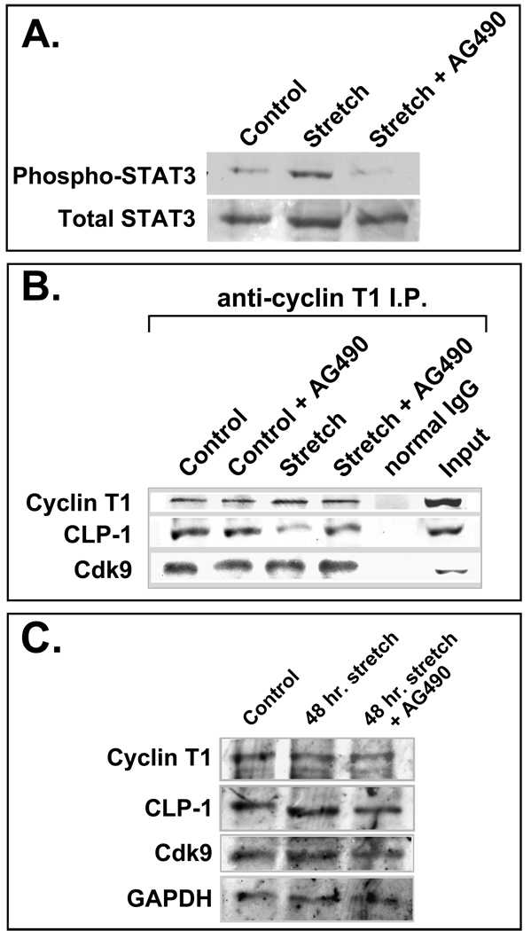 Figure 5