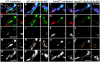 Fig. 4.