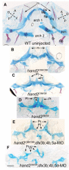 Fig. 7.