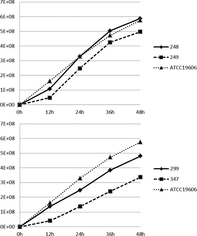 FIG 1