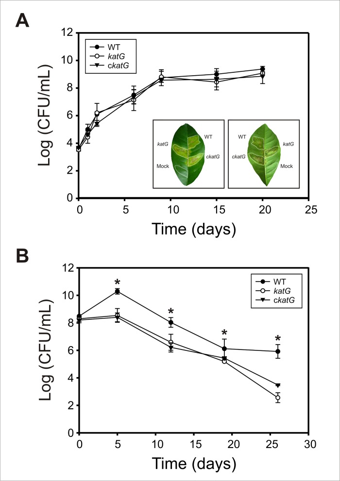 Fig 6