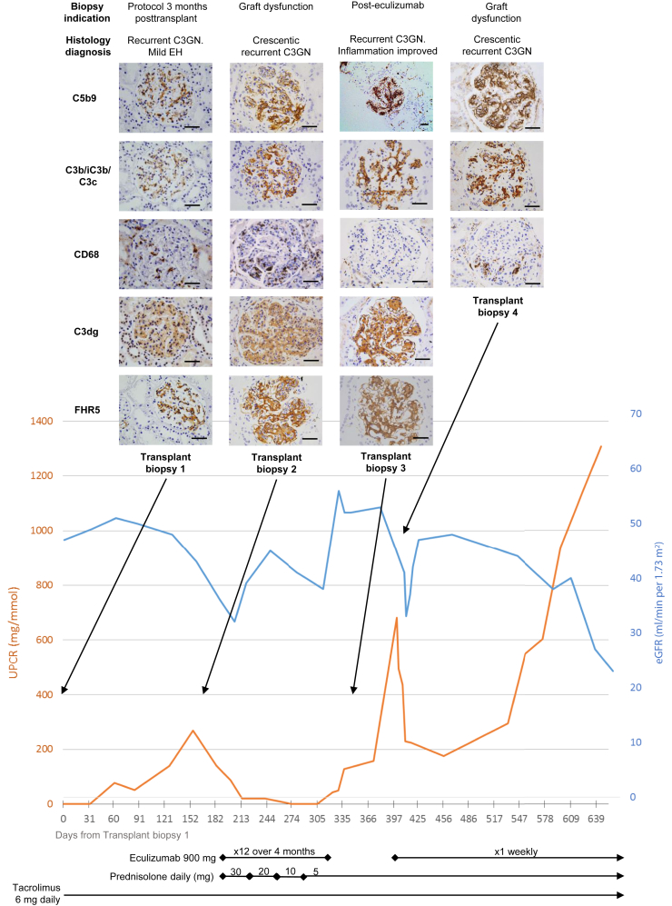 Figure 2