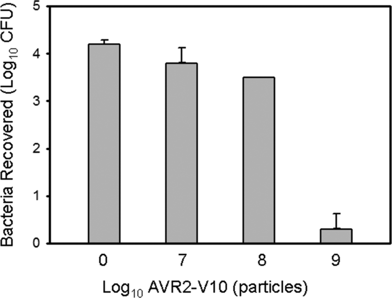 FIG. 6.