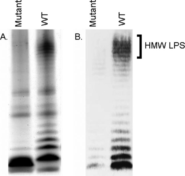 FIG. 5.