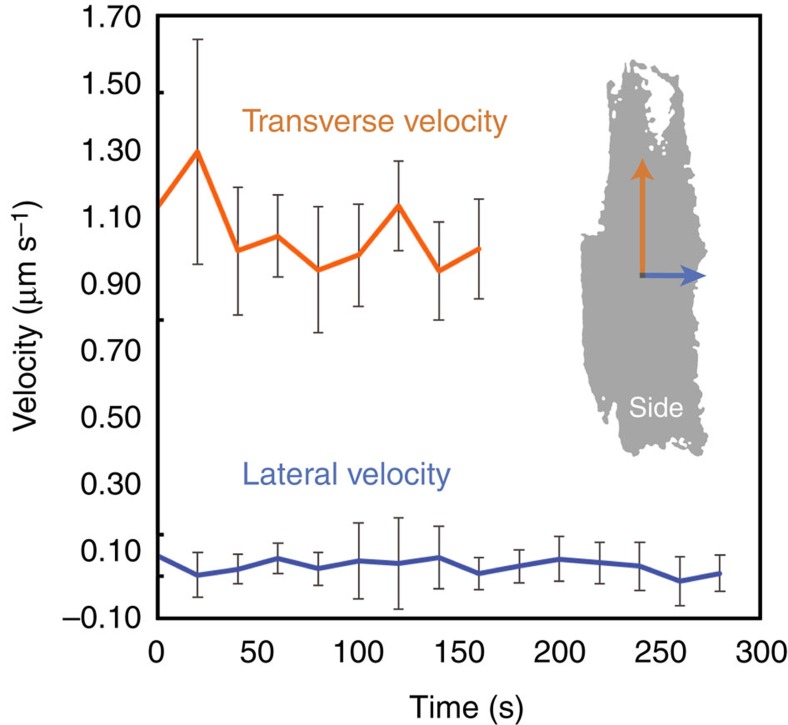 Figure 4