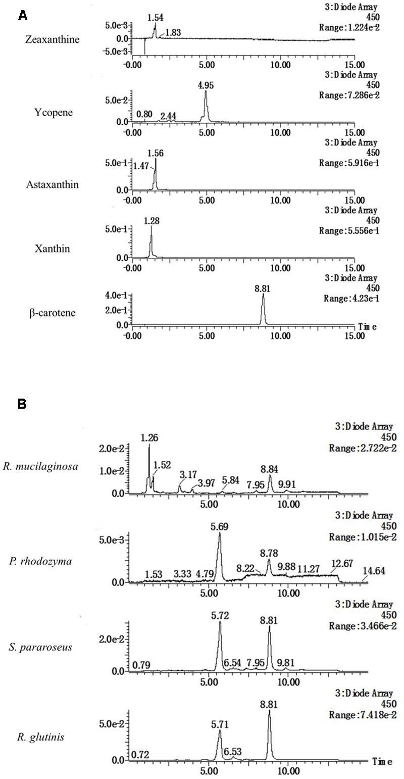 FIGURE 4