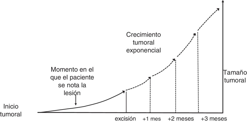 Figura 1