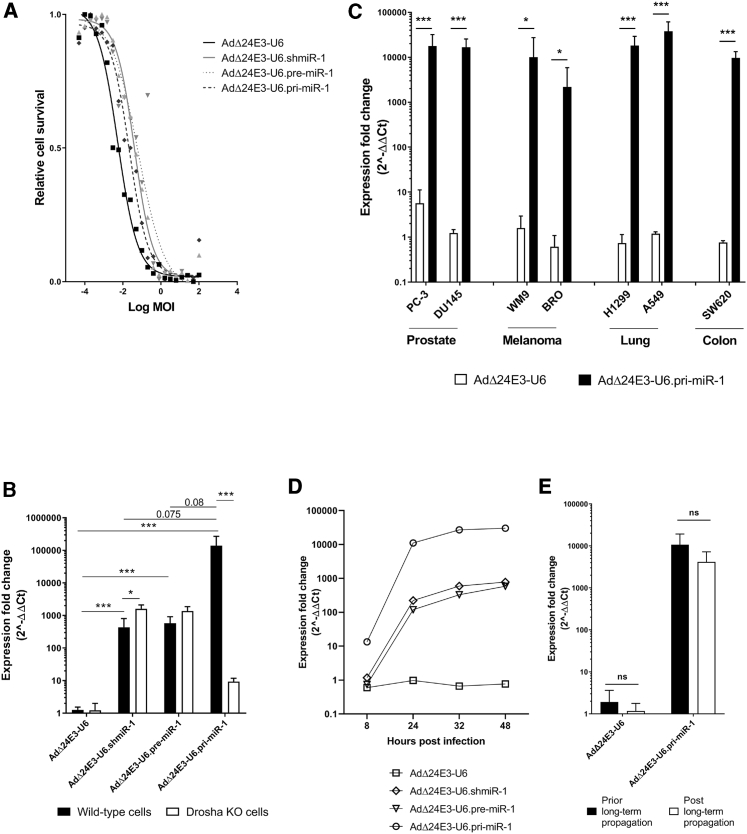 Figure 2