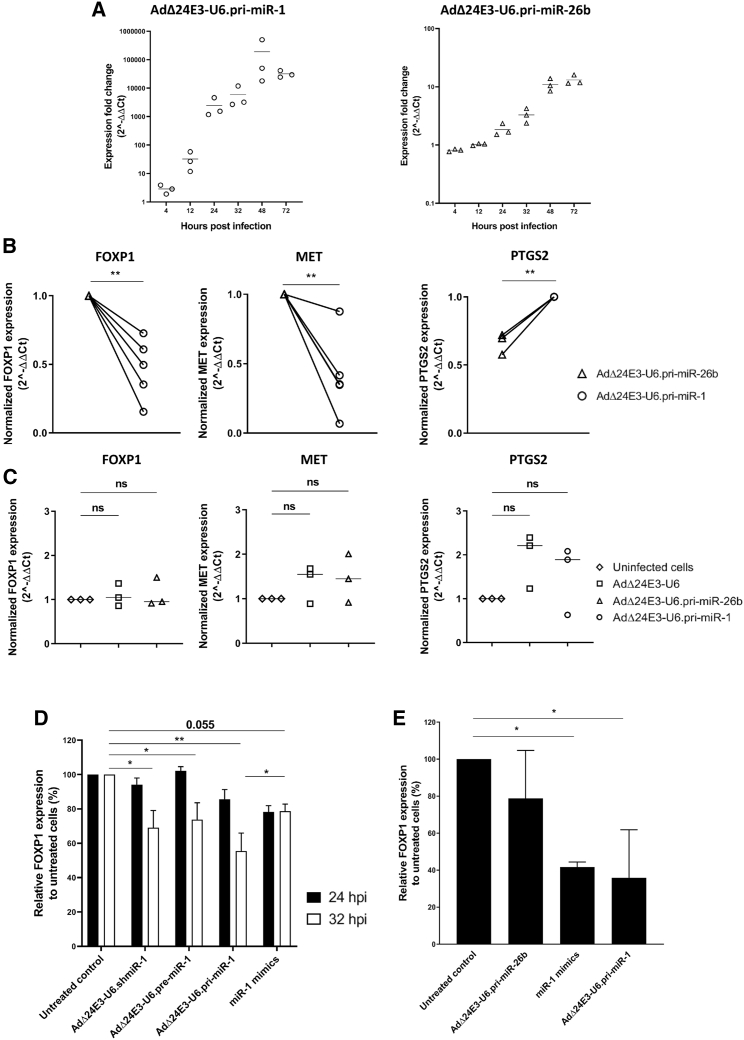 Figure 5