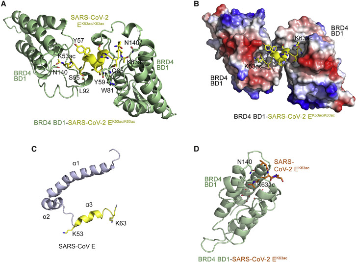 Figure 2