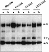 FIG. 6.