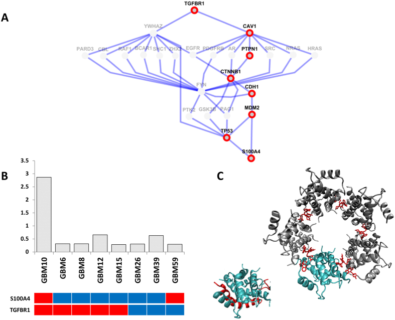 Figure 6