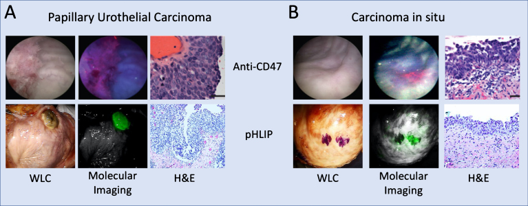 Fig.4