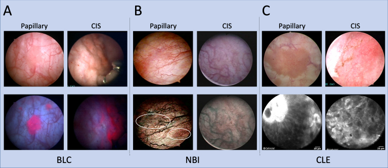 Fig.1