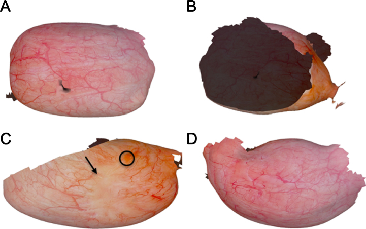 Fig.3