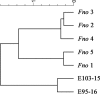 FIG 6