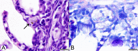 FIG 8