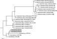 FIG 3