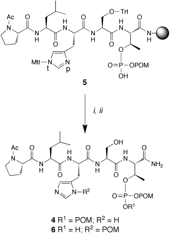 Scheme 2.