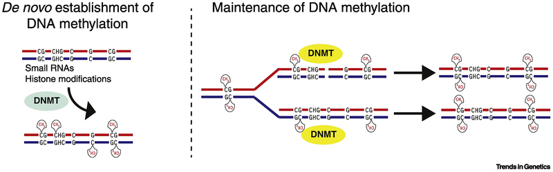 Figure 2: