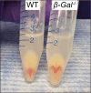 Figure 3