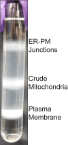 Figure 10