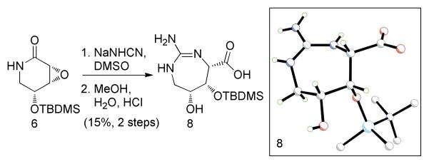 Scheme 2