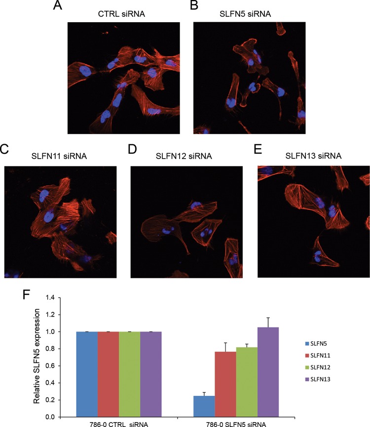 FIG 4