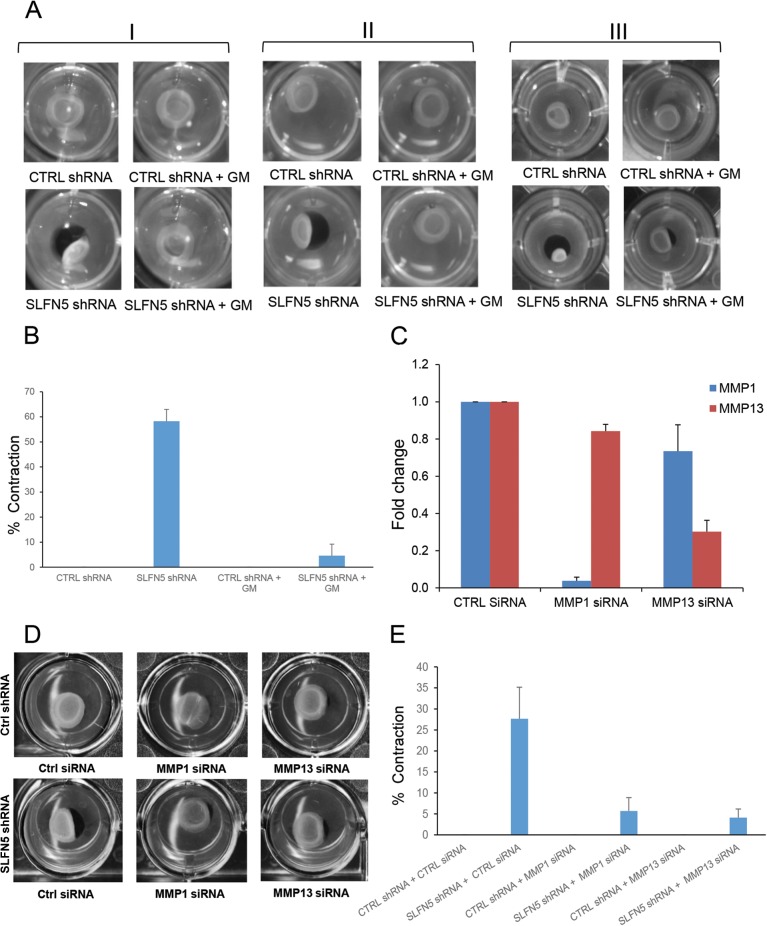 FIG 10