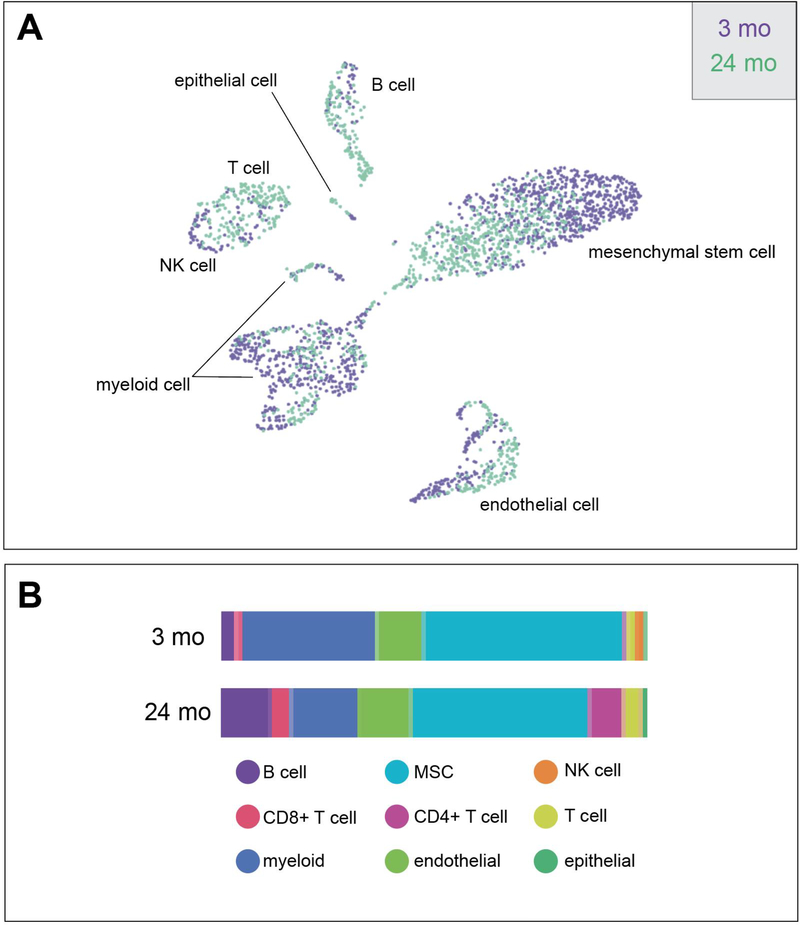 Figure 2: