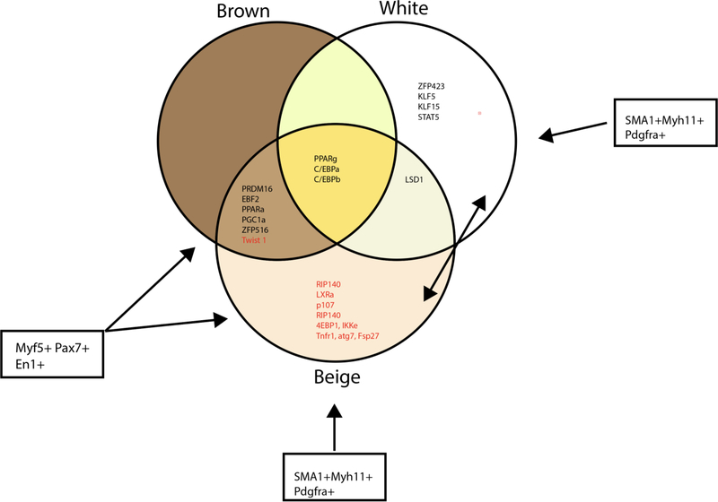 Figure 4: