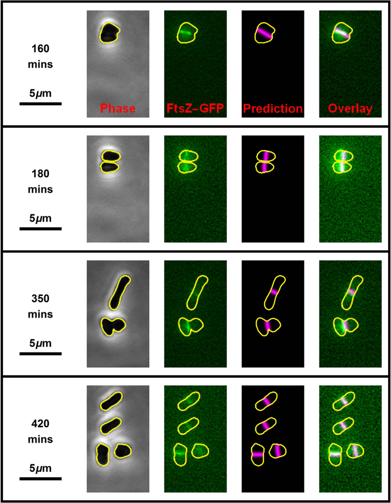 Fig. 4.