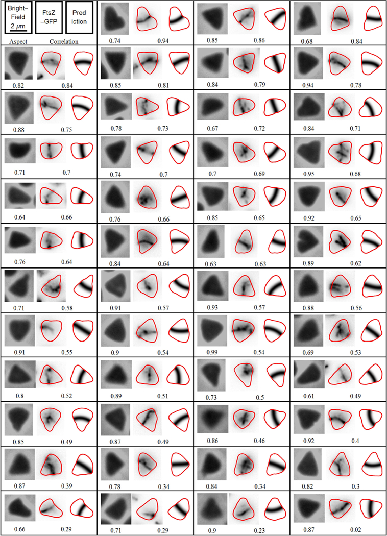 Fig. 3.