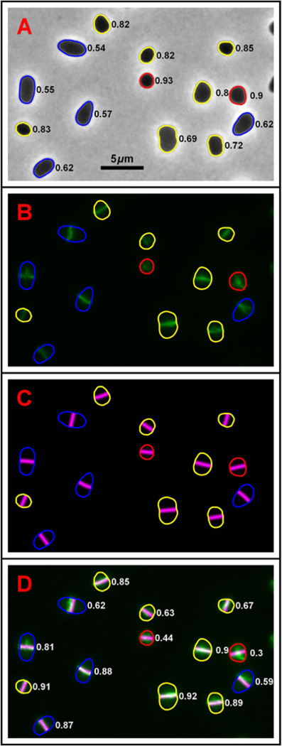 Fig. 1.