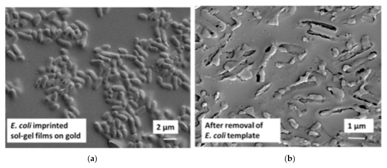 Figure 21