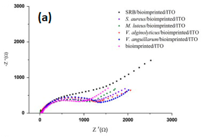 Figure 23