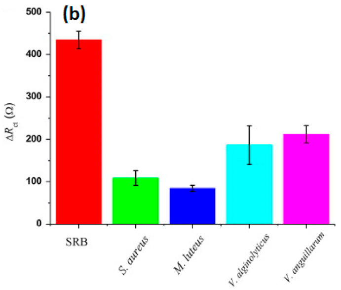 Figure 23