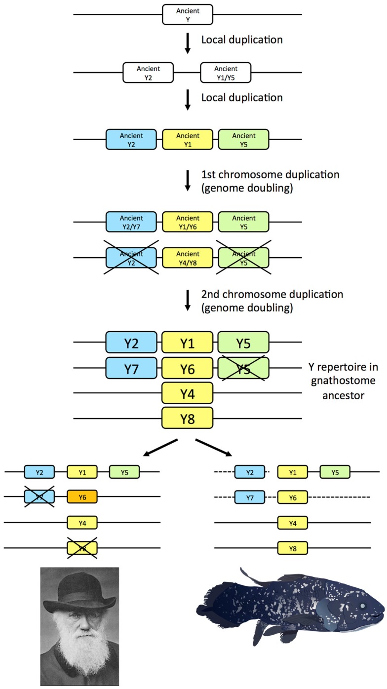 Figure 6