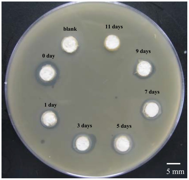 Figure 10