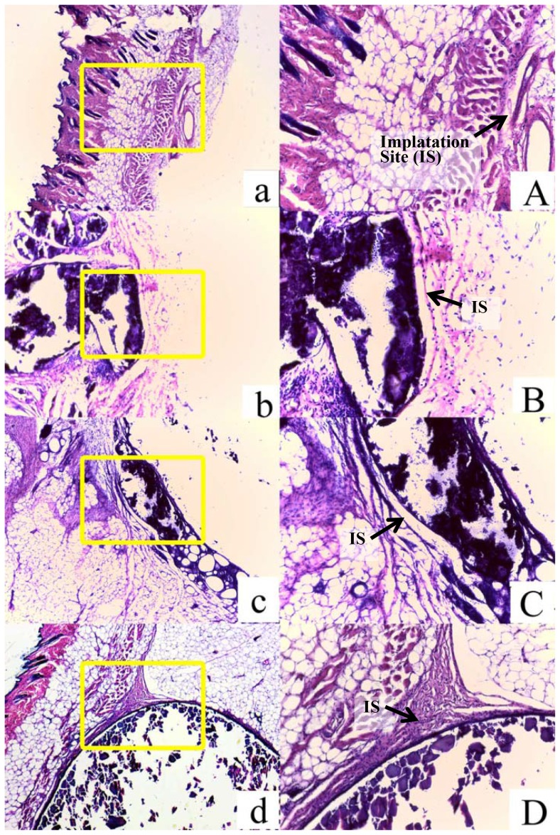 Figure 9