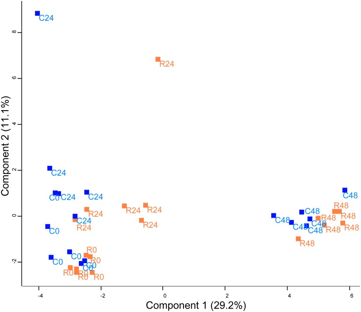 FIGURE 2