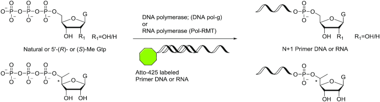 Figure 7.