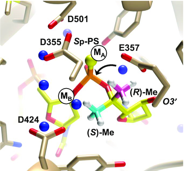 Figure 11.